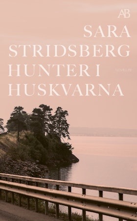 Hunter i Huskvarna (pocket)