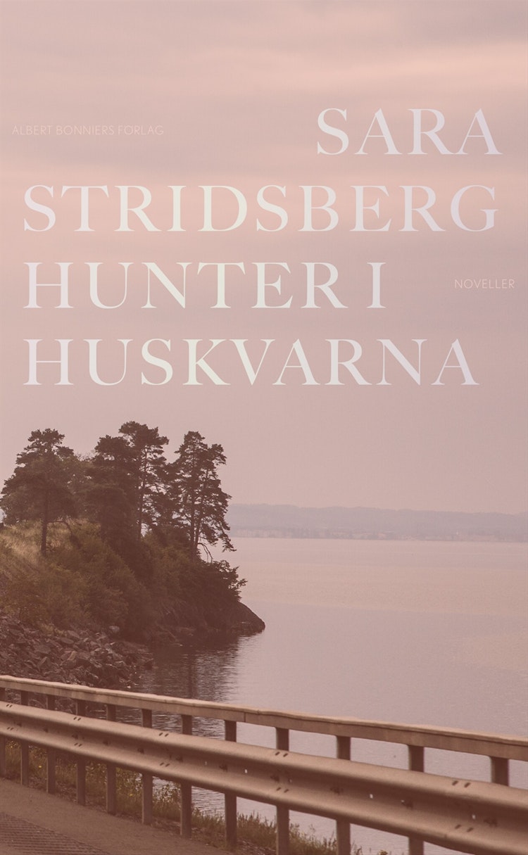 Hunter i Huskvarna - finns i Rutströms bokhandel