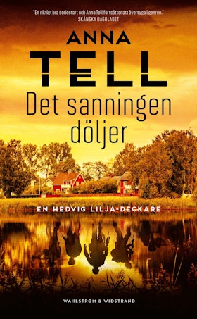 Det sanningen döljer (pocket)