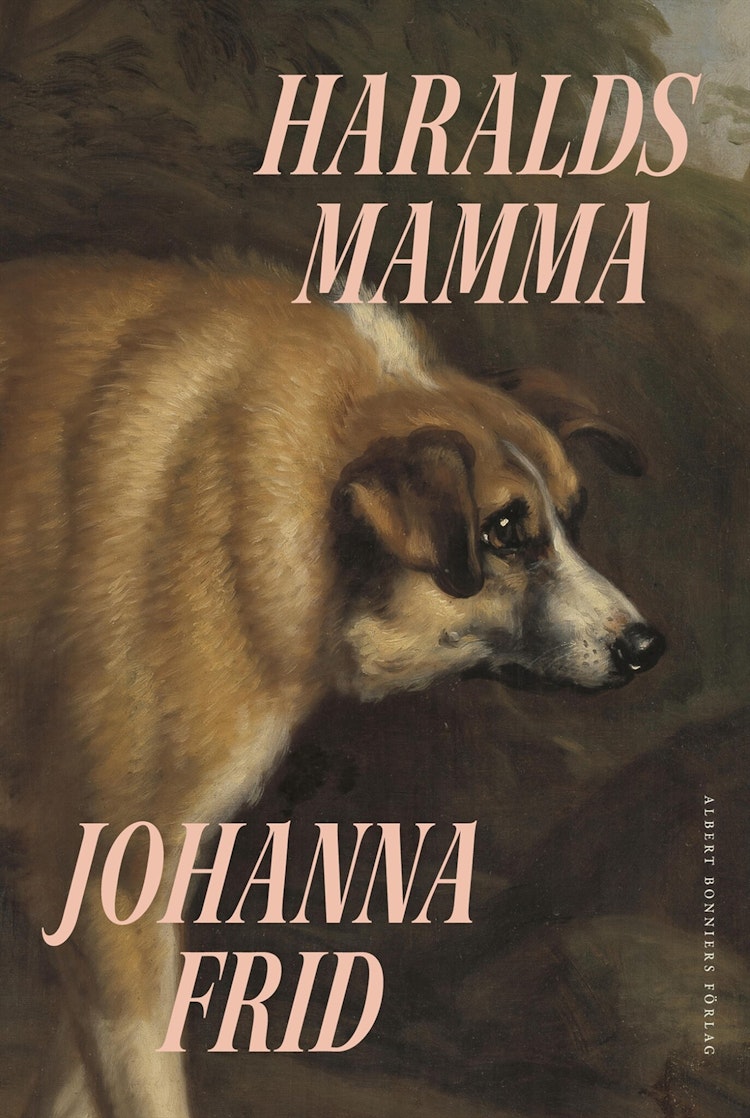Haralds mamma - finns i Rutströms bokhandel