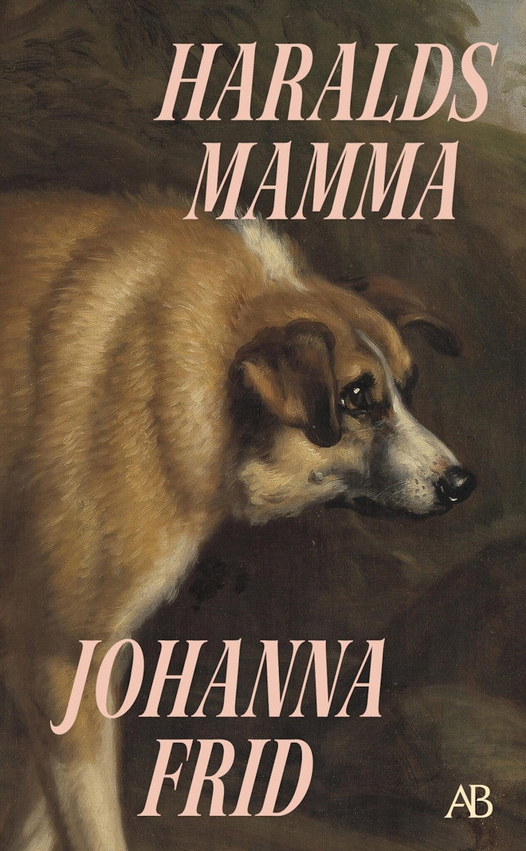 Haralds mamma - finns i Rutströms bokhandel