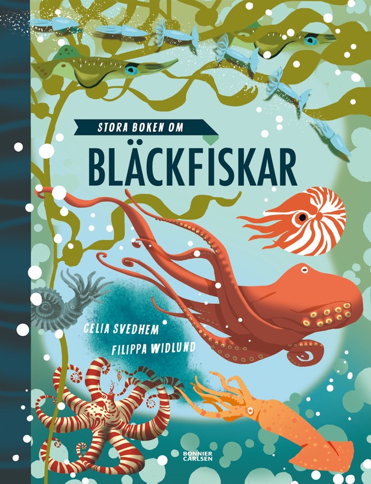 Stora boken om bläckfiskar - finns i Rutströms bokhandel