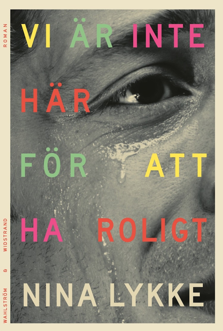 Vi är inte här för att ha roligt - finns i Rutströms bokhandel