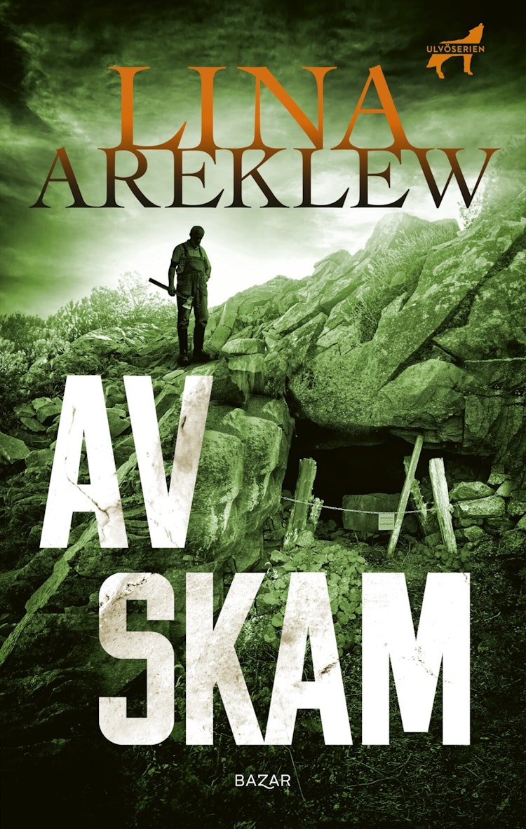 Av skam - finns i Rutströms bokhandel