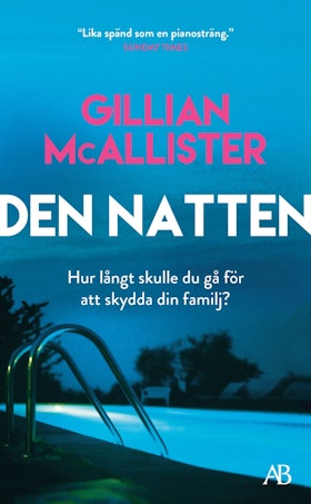 Den natten (pocket)