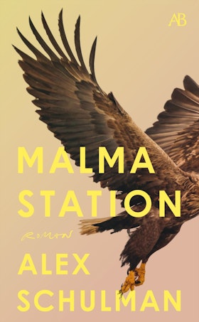 Malma station (pocket)