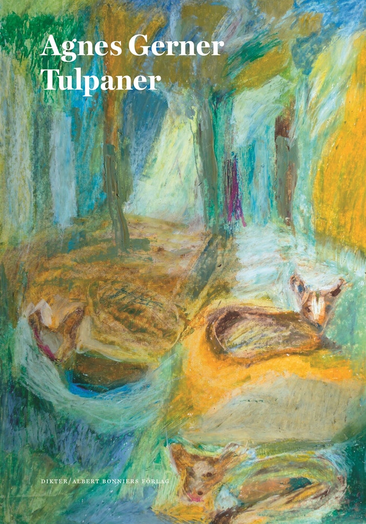 Tulpaner - finns i Rutströms bokhandel