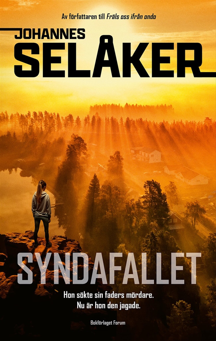 Syndafallet - finns i Rutströms bokhandel