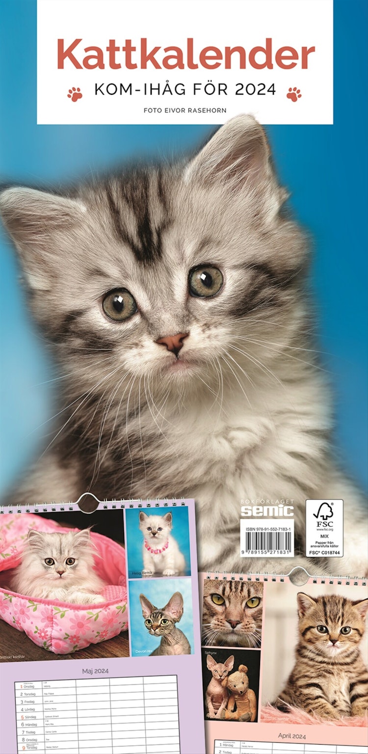 Kattkalender 2024 - finns i Rutströms bokhandel