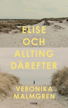 Elise och allting därefter