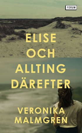 Elise och allting därefter (pocket)