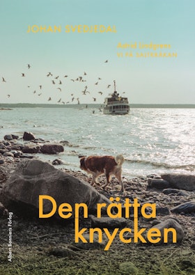 Den rätta knycken
