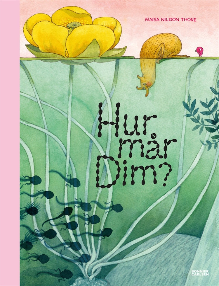 Hur mår Dim? - finns i Rutströms bokhandel