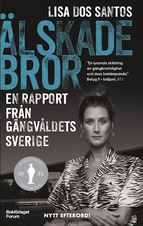 Älskade bror - en rapport från gängvåldets Sverige (pocket)