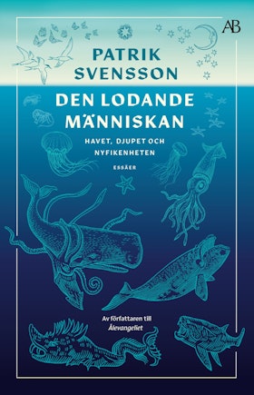 Den lodande människan (storpocket)