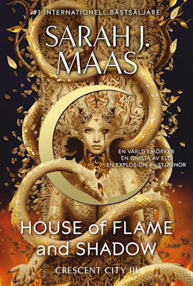 House of Flame and Shadow