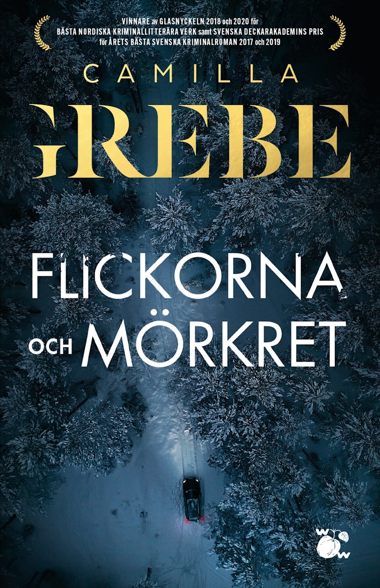 Flickorna och Mörkret - finns i Rutströms bokhandel