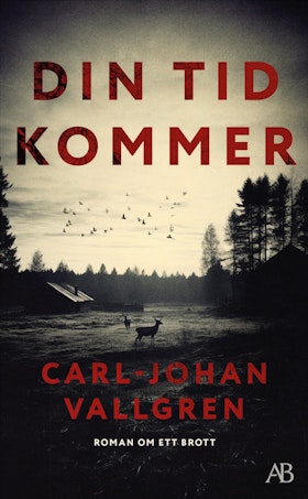 Din tid kommer (pocket)