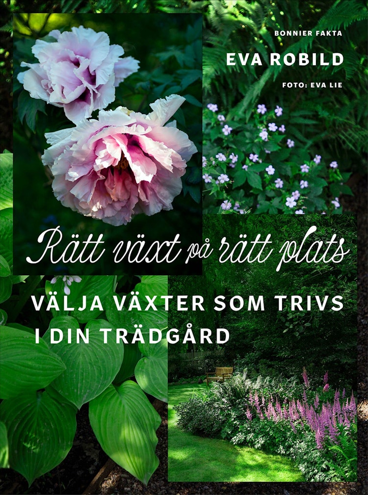 Rätt växt på rätt plats - finns i Rutströms bokhandel