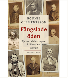 Fängslade öden : tjuvar och bedragare i 1800-talets Sverige
