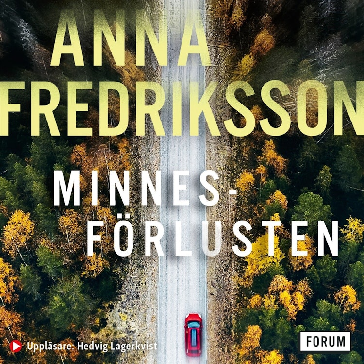 Minnesförlusten - finns i Rutströms bokhandel