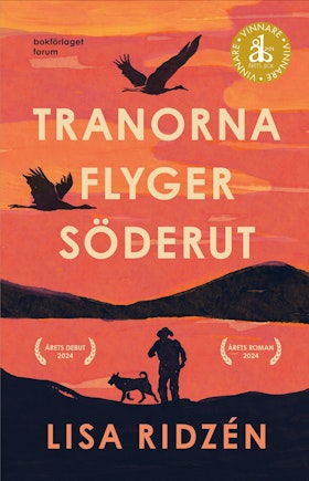Tranorna flyger söderut (storpocket)