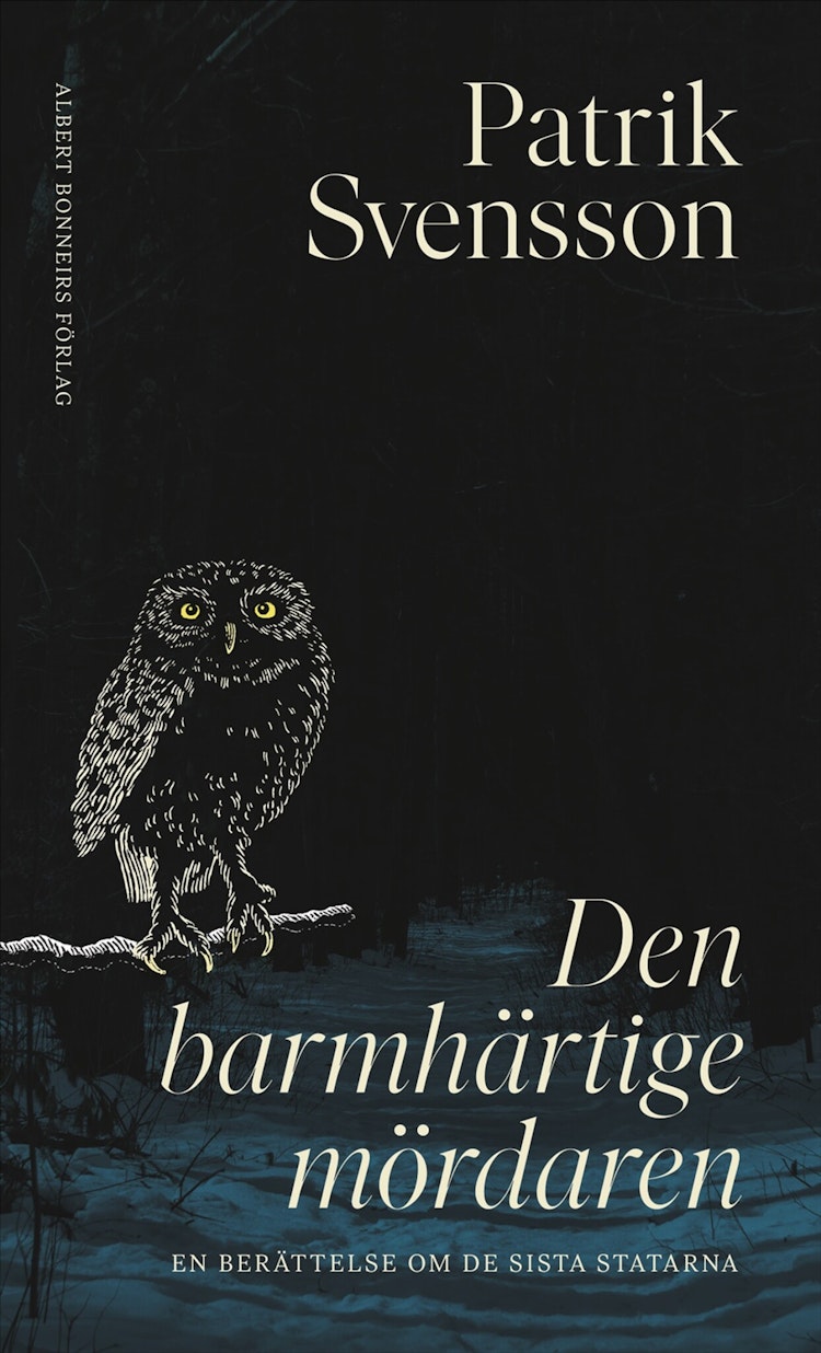 Den barmhärtige mördaren - finns i Rutströms bokhandel