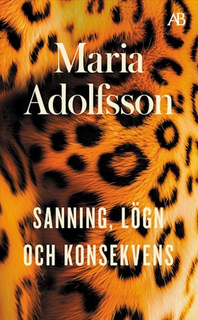 Sanning, lögn och konsekvens (pocket)