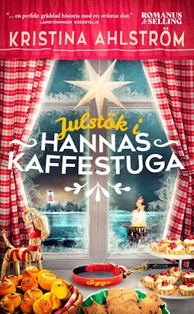 Julstök i Hannas kaffestuga (pocket)
