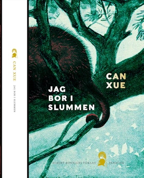 Jag bor i slummen