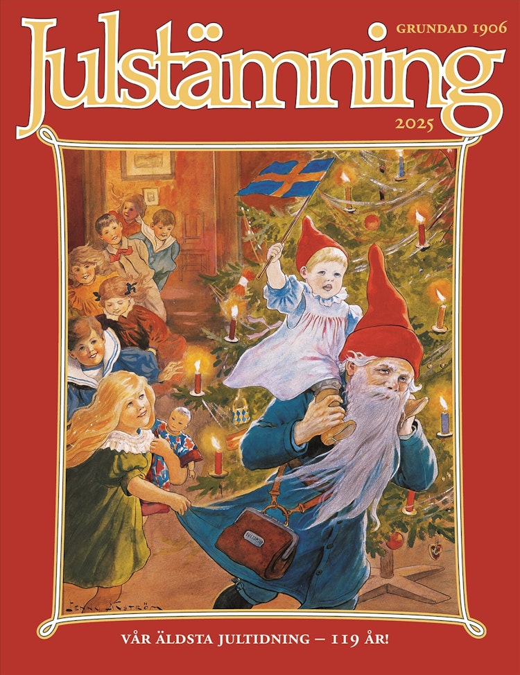 Julstämning 2025 - finns i Rutströms bokhandel