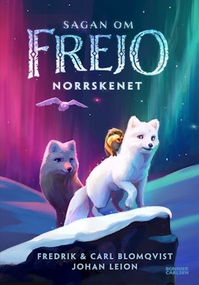 Norrskenet