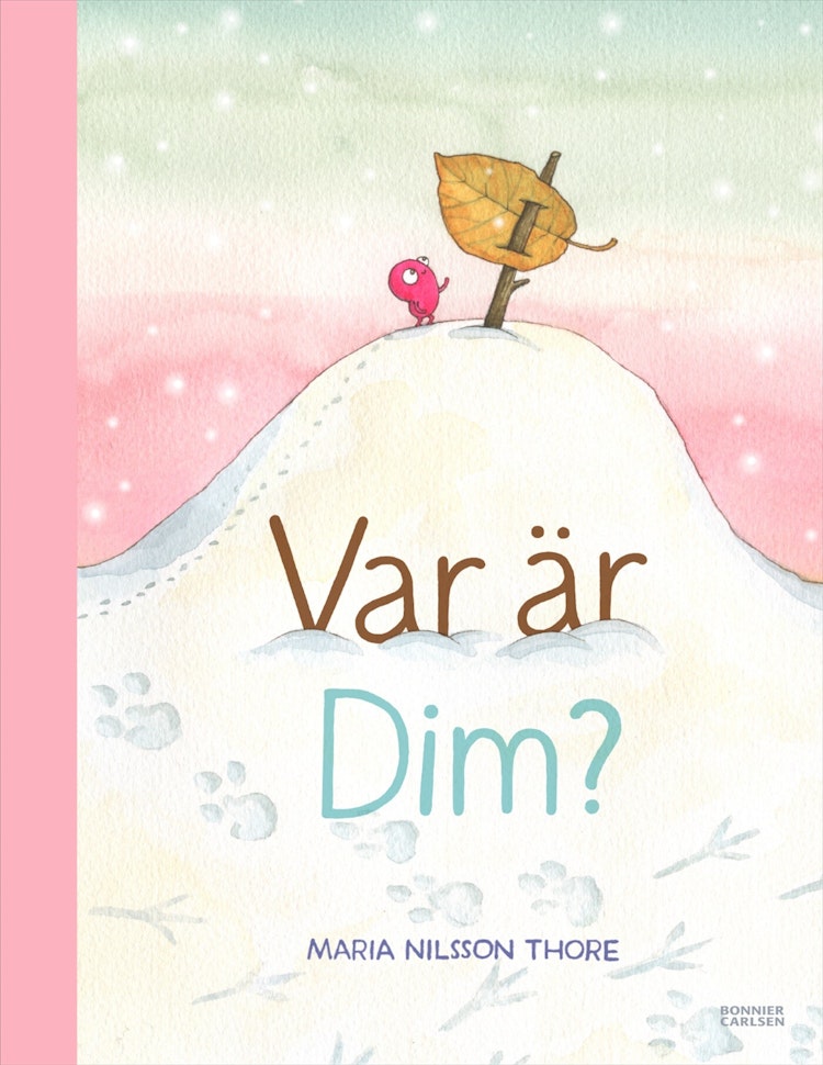 Var är Dim? - finns i Rutströms bokhandel