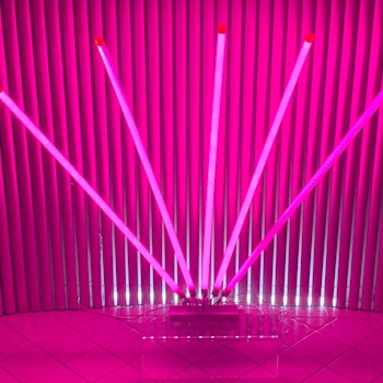 LED Neon Sticks 120 cm - Flera färger