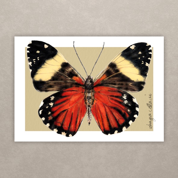 Fine Art Print "Röd Fjäril"