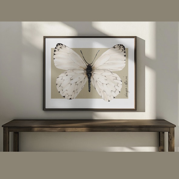 Fine Art Print "Kålfjäril"