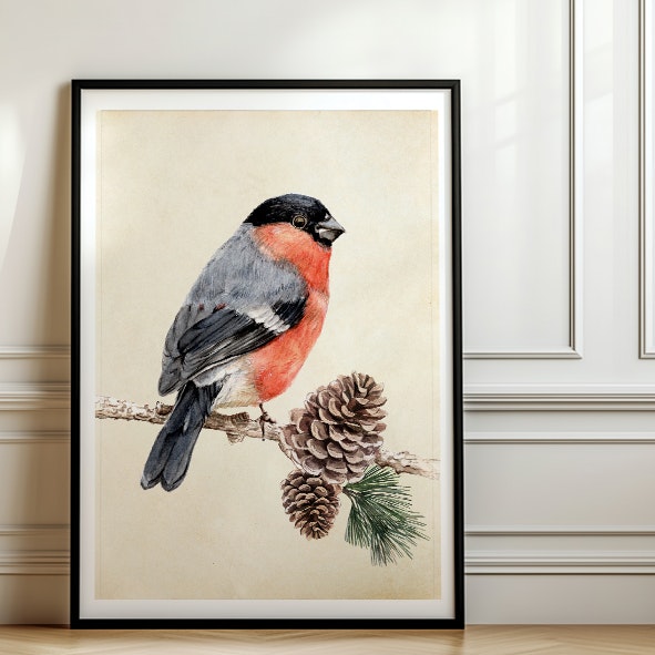 Art Print "Herr Domherre"