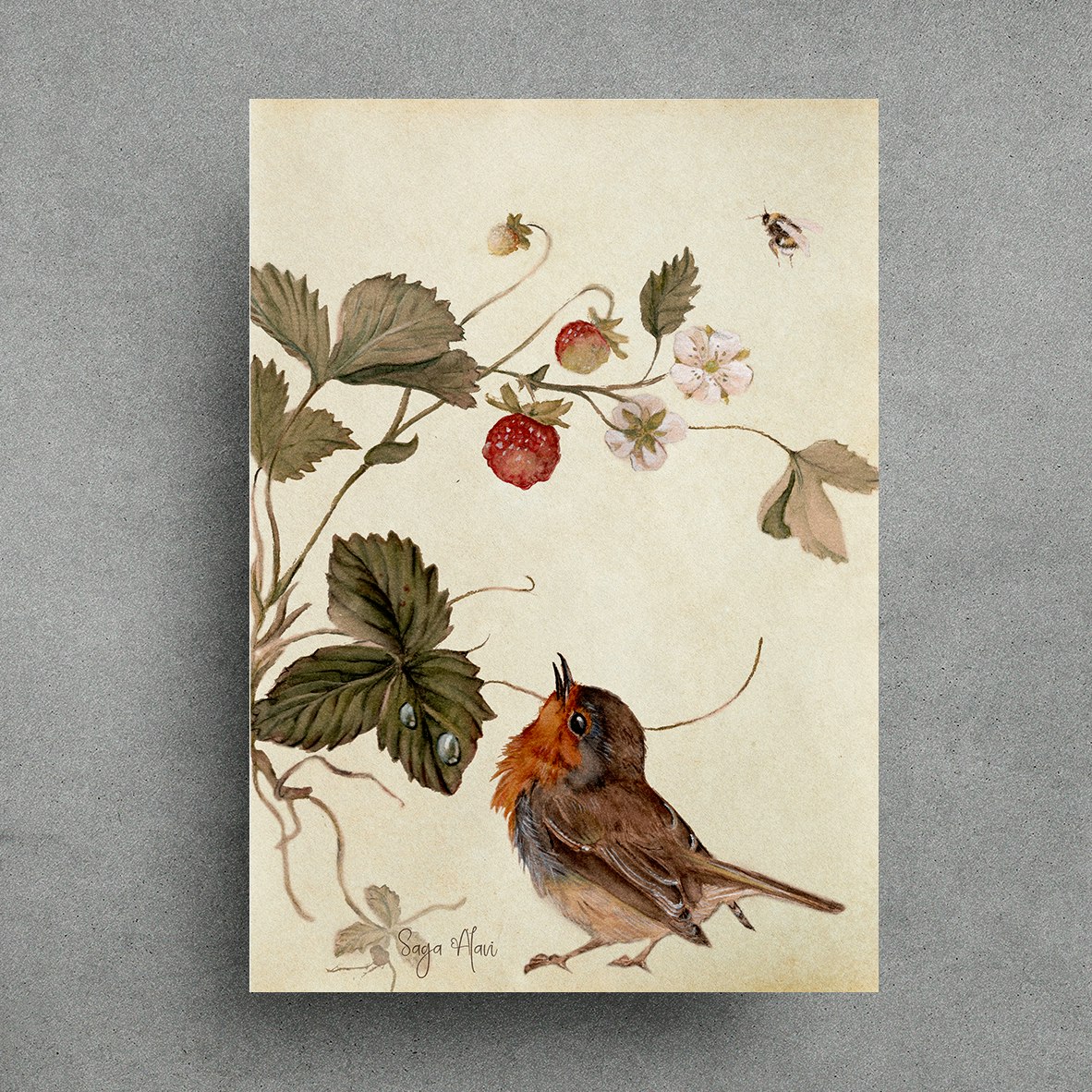 Art Print "Rödhake och Smultron"- Akvarellaffisch i "A5", "A4" och "A3" Format