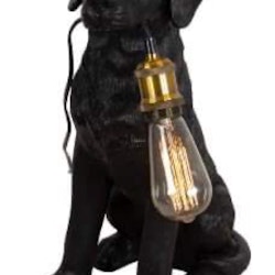 Hundlampa