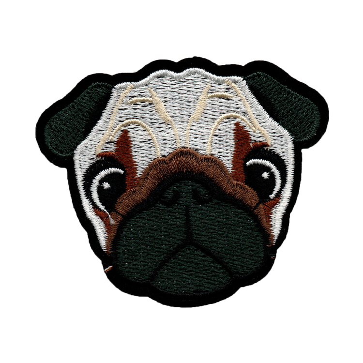 Hund Pug/Mops