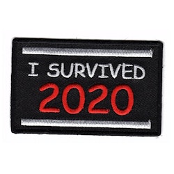 I survived 2020