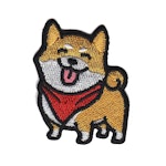 Shiba inu - Hund