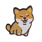 Shiba inu - Hund