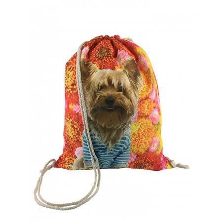 Gympapåse hund