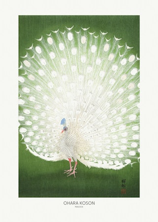 Peacock (beskuren för stående poster)