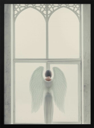 Windows of Angel