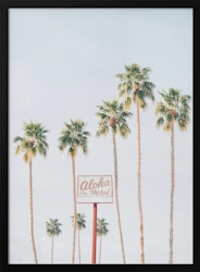 Aloha Hotel