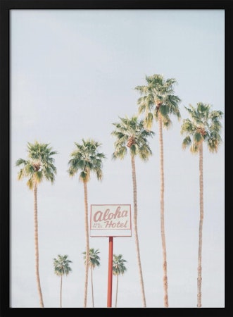 Aloha Hotel