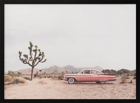 In the desert