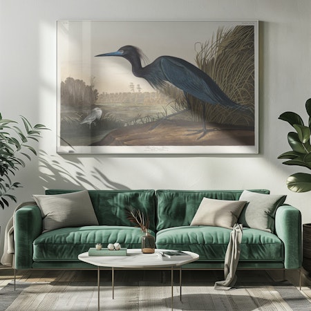 Blue Crane or Heron - Birds of America